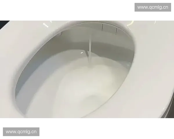 智能马桶盖深度清洗全攻略打造卫生舒适如新的如厕体验
