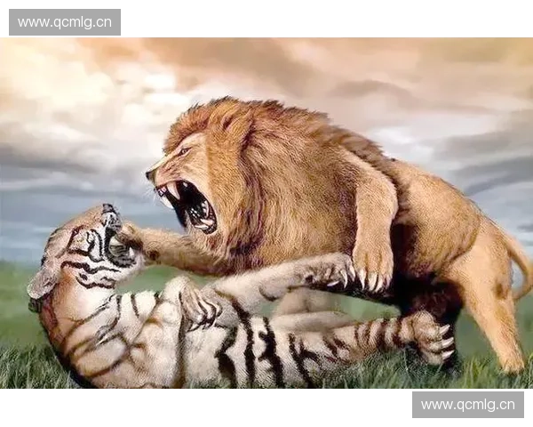 从狮子到小虎盘点历届世界杯吉祥物背后的文化故事与时代记忆 从狮子到小虎盘点历届世界杯吉祥物背后的文化故事与时代记忆