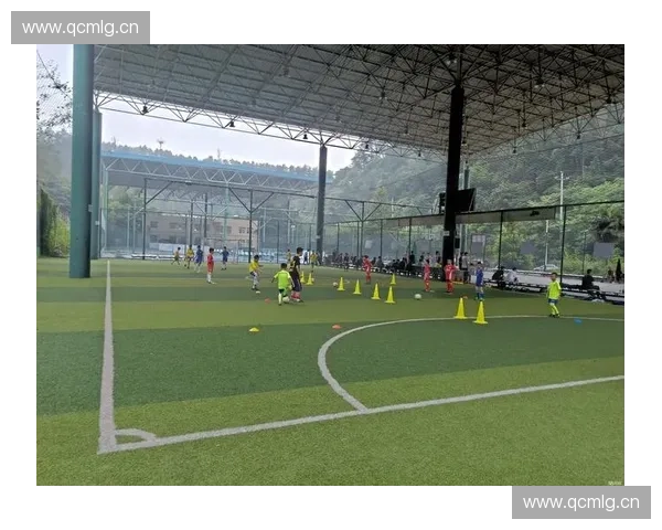 围绕十堰足球联赛推动区域青少年体育发展新路径探索机制与实践研究