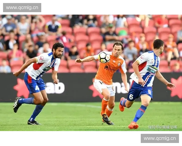 深入解析澳洲足球联赛等级体系与各级别球队发展现状